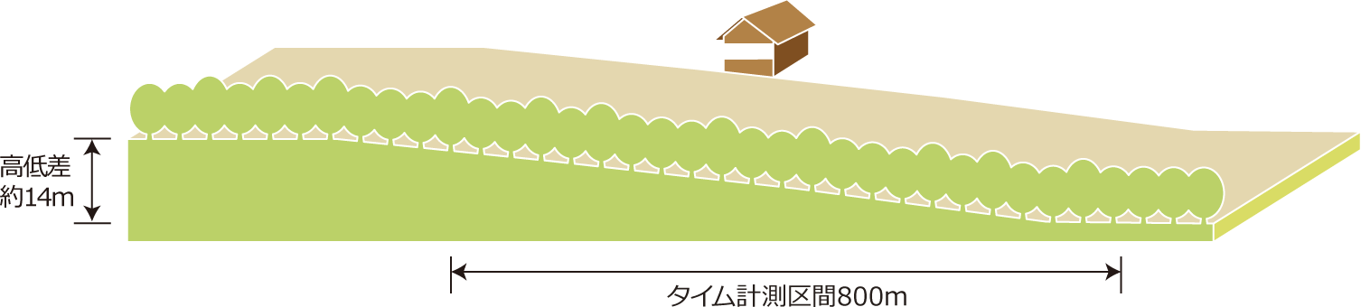 屋外1200m直線坂路コース