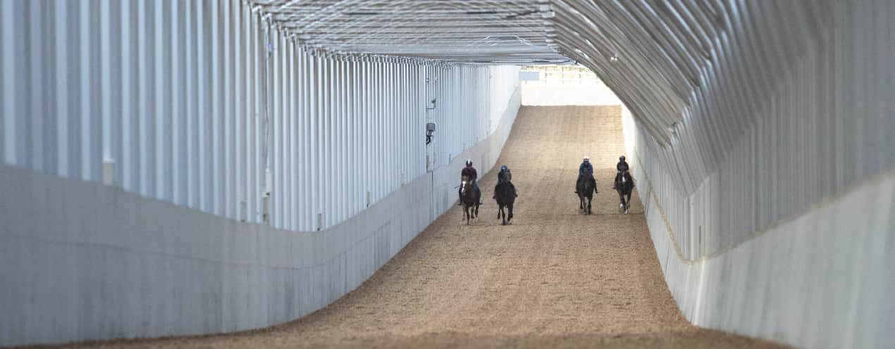 屋内800m直線坂路コース内観