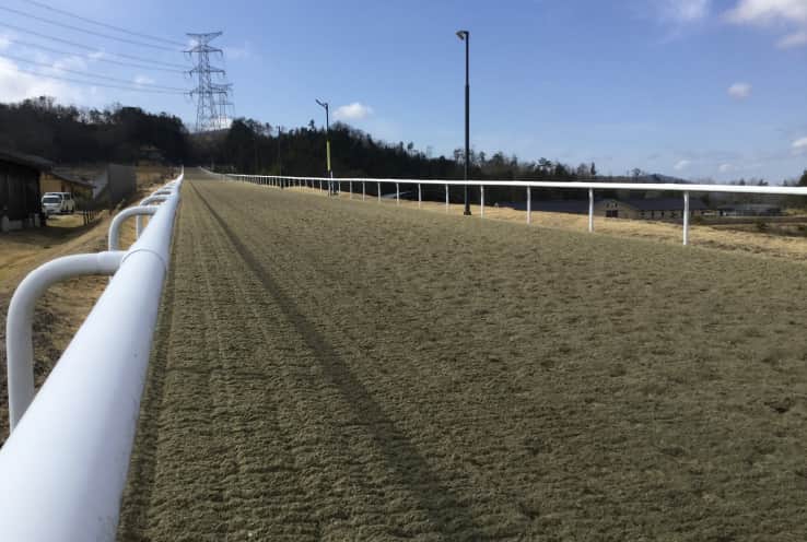 屋外800m直線坂路コース