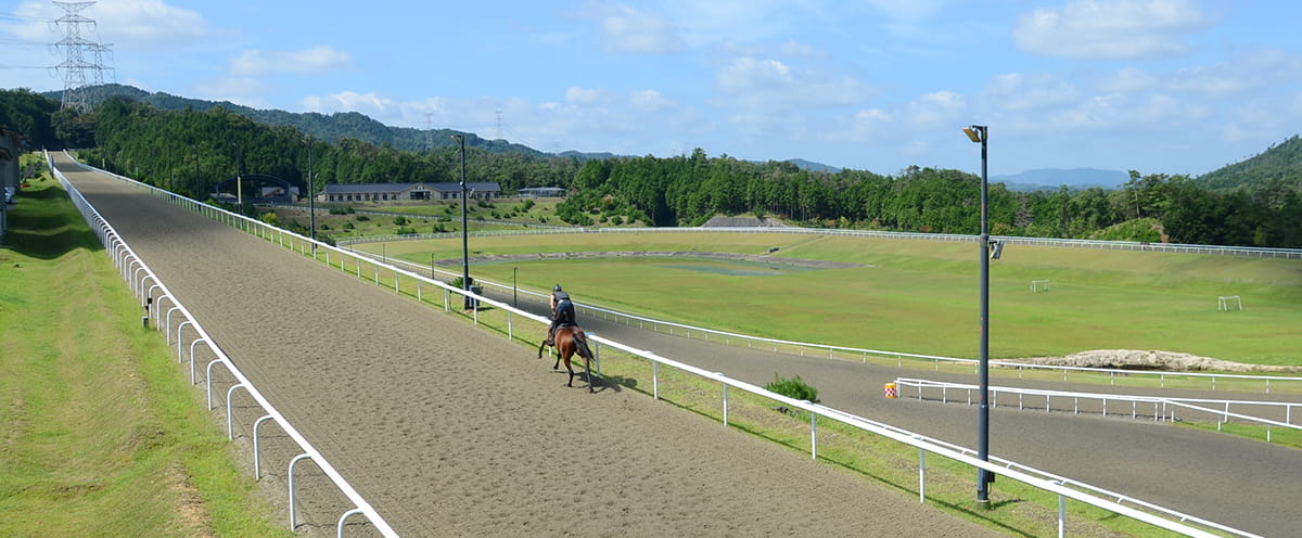 屋外800m直線坂路コース