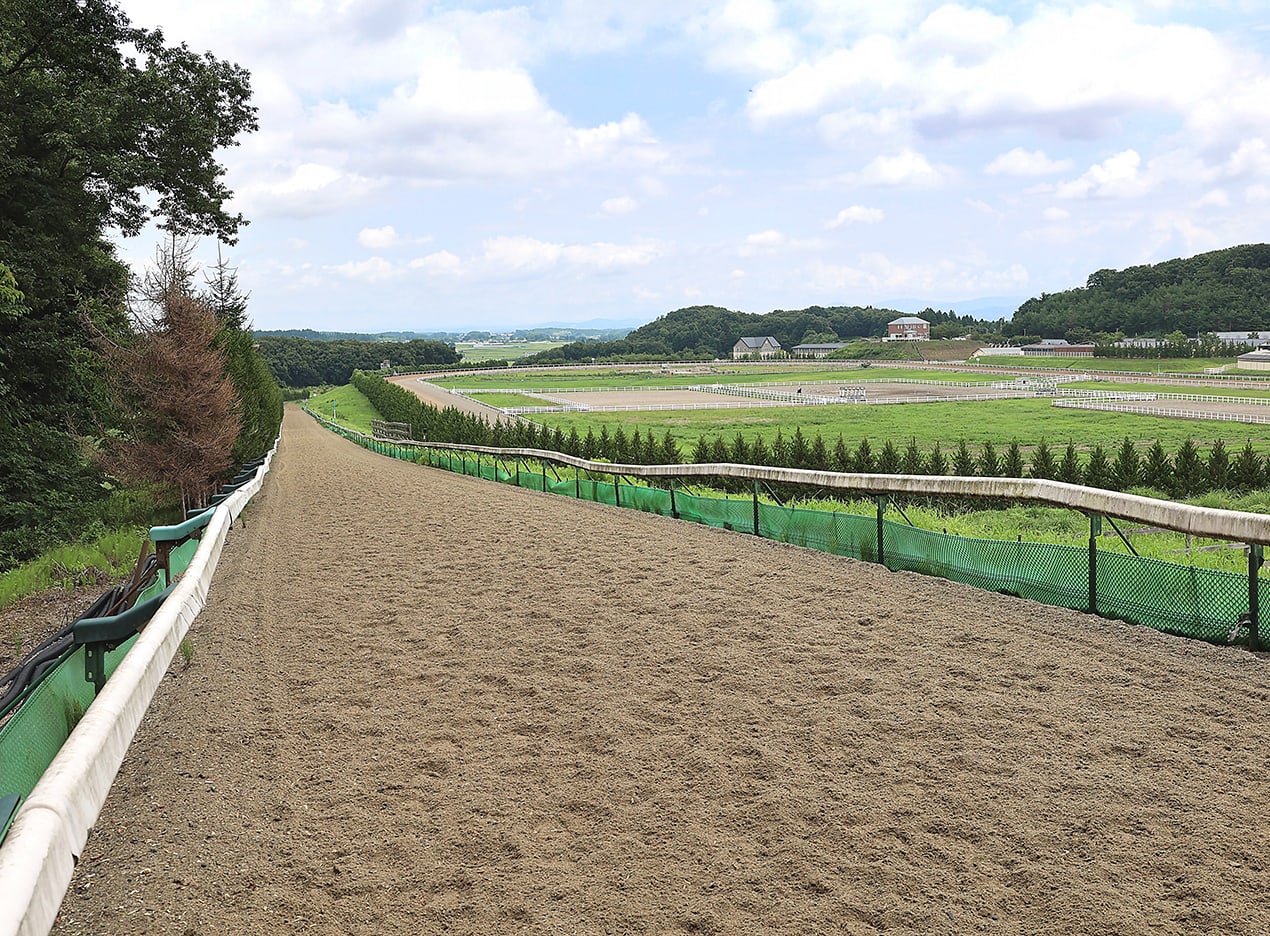 屋外900m坂路コース