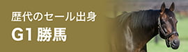 歴代のセール出身  G1勝馬