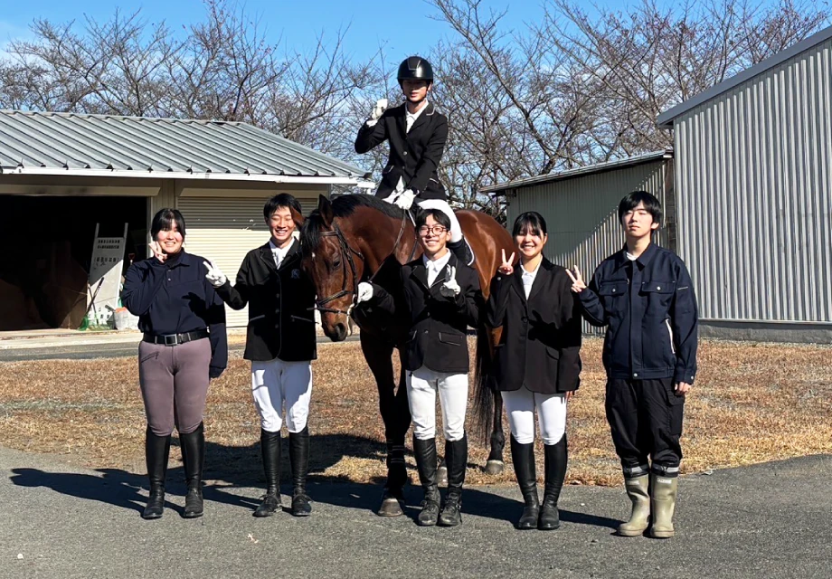 競走馬のセカンドキャリア促進