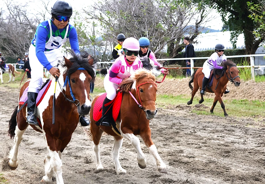 馬事伝統芸能の支援