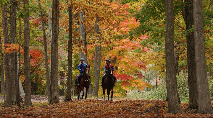 A Day in Autumn at Northern Farm