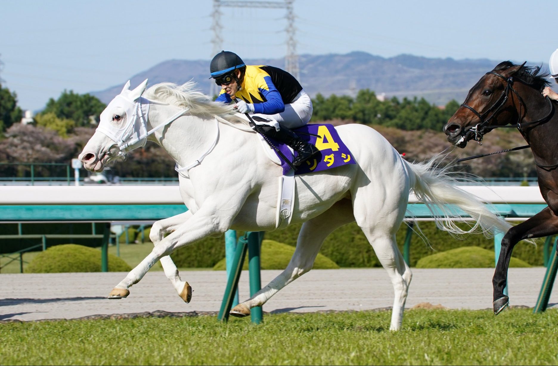 憧れ ソダシの重賞制覇について | 最近の重賞勝馬 | ノーザンファーム ゲーム