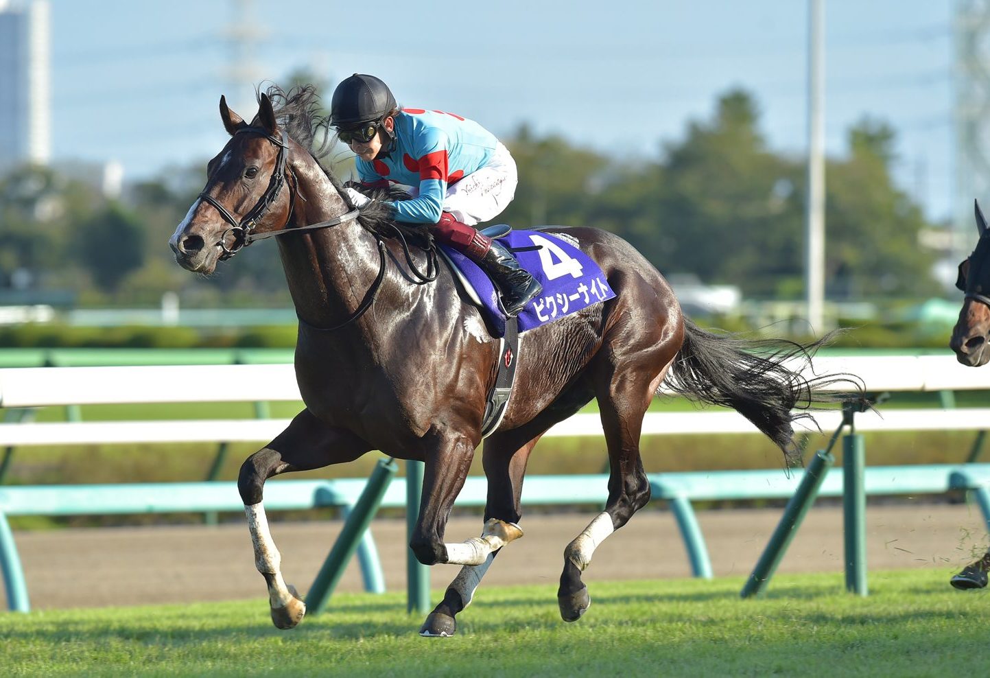 サイン入りゼッケン競馬ピクシーナイト母ピクシーホロウ超レア