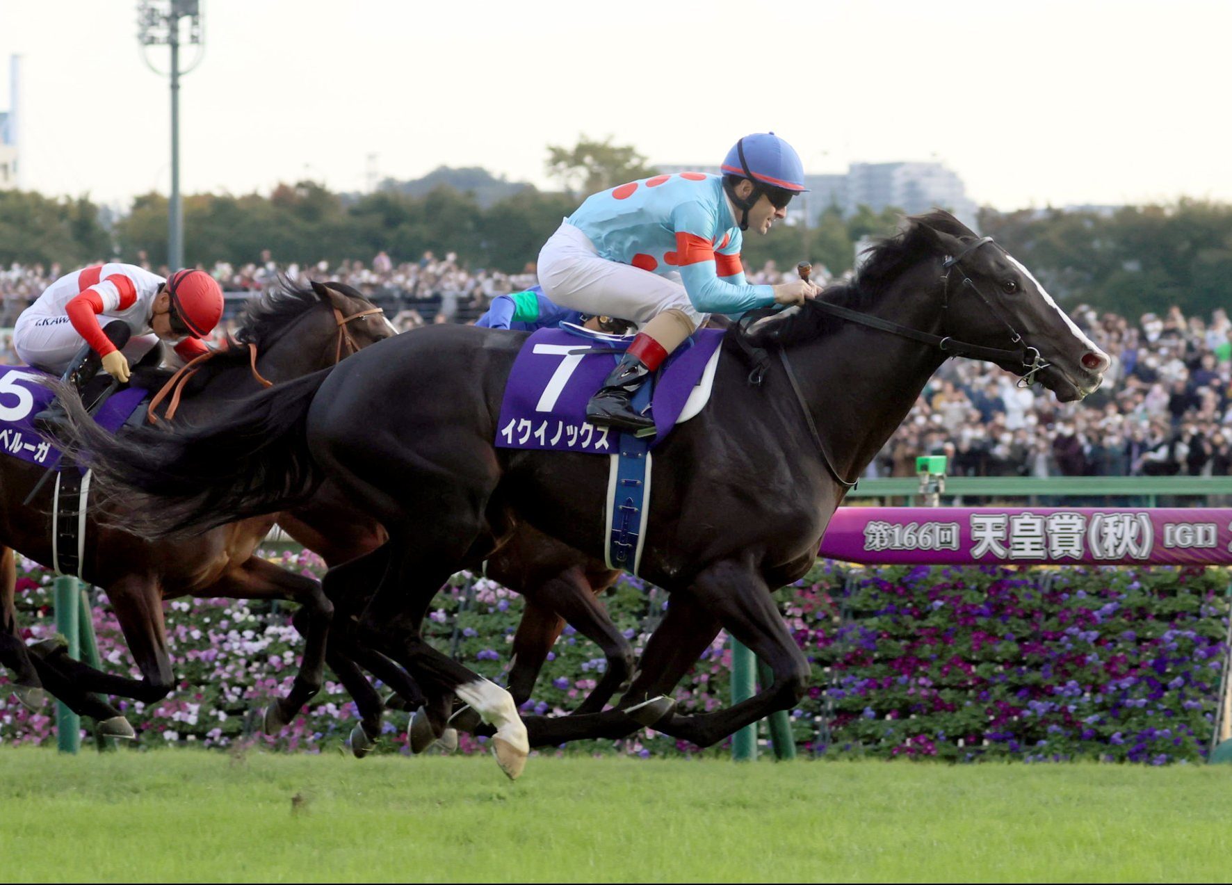 イクイノックス、ラヴェルの重賞制覇について | 最近の重賞勝馬