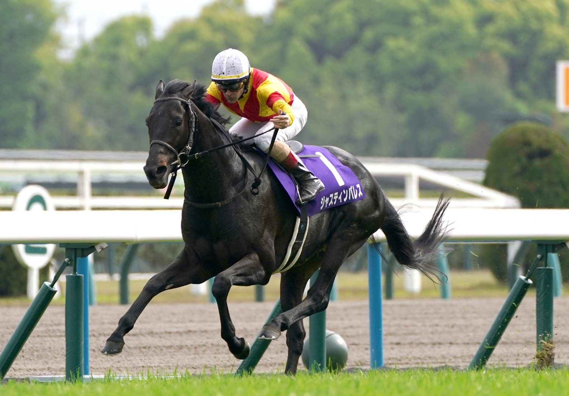 ジャスティンパレス、スキルヴィングの重賞制覇について | 最近の重賞