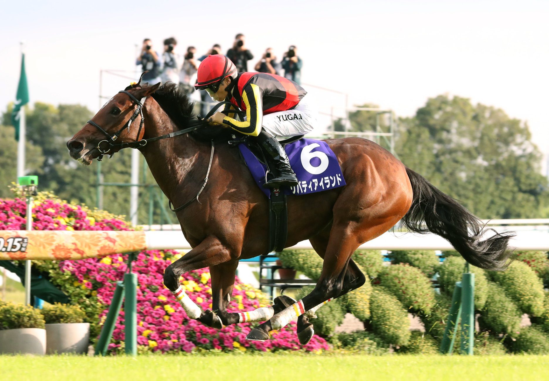 リバティアイランド、ディヴィーナの重賞制覇について | 最近の重賞