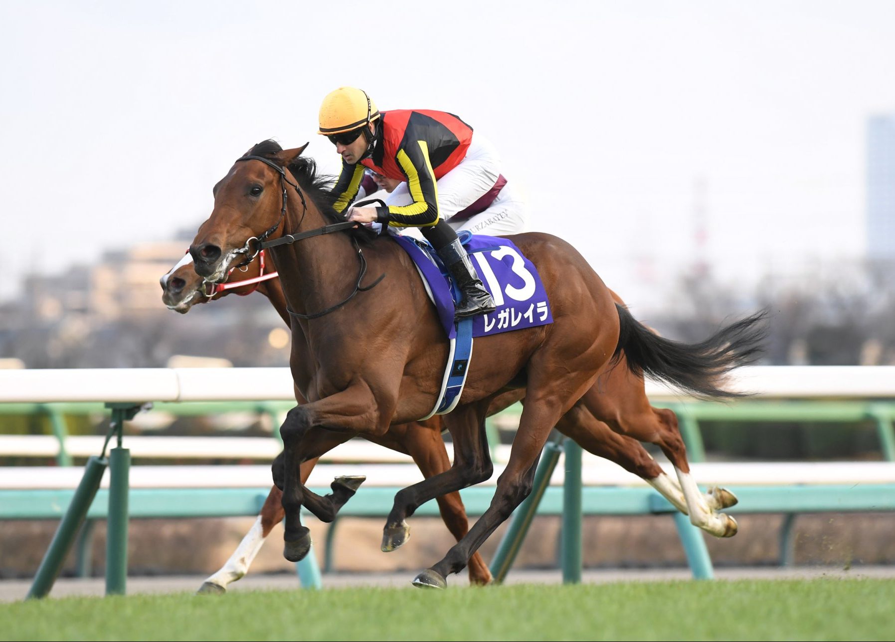 レガレイラ【非売品】ホープフルS優勝記念 牝馬で初めてホープフルSを勝ったレガレイラは今日の日本競馬を