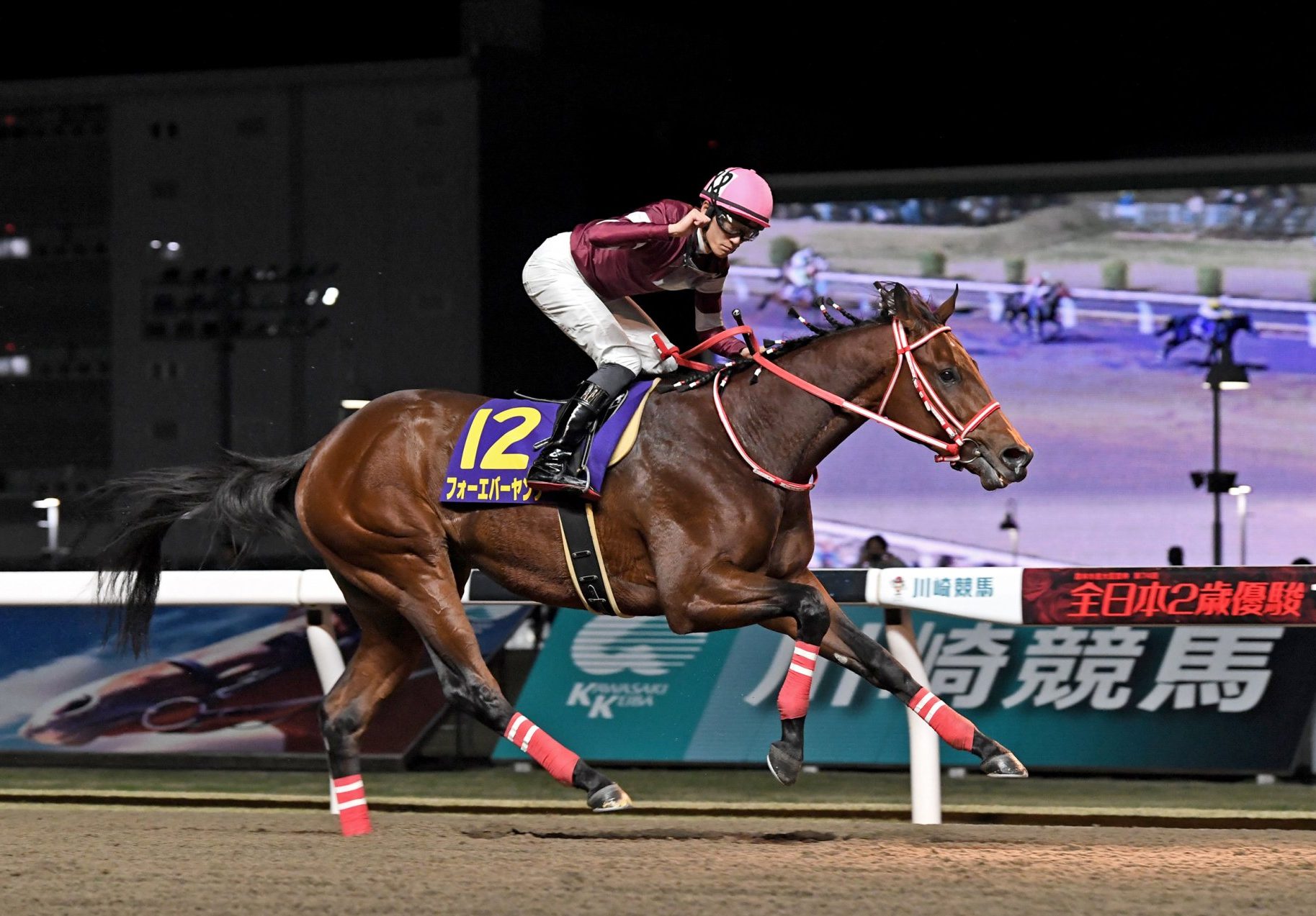 鷹*様 競馬必勝法本『覇王』 レア】競馬必勝本 『覇王』 - メルカリ