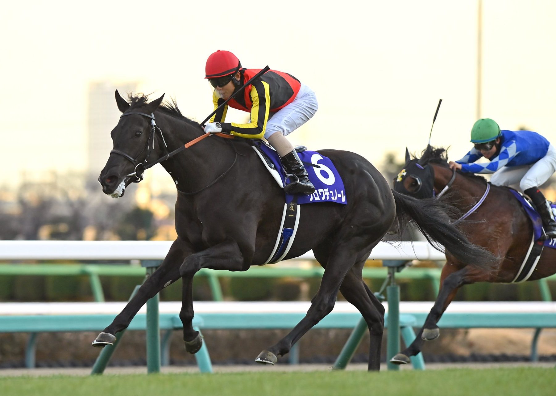 1263293c32e2b7b760b2896297bfb5