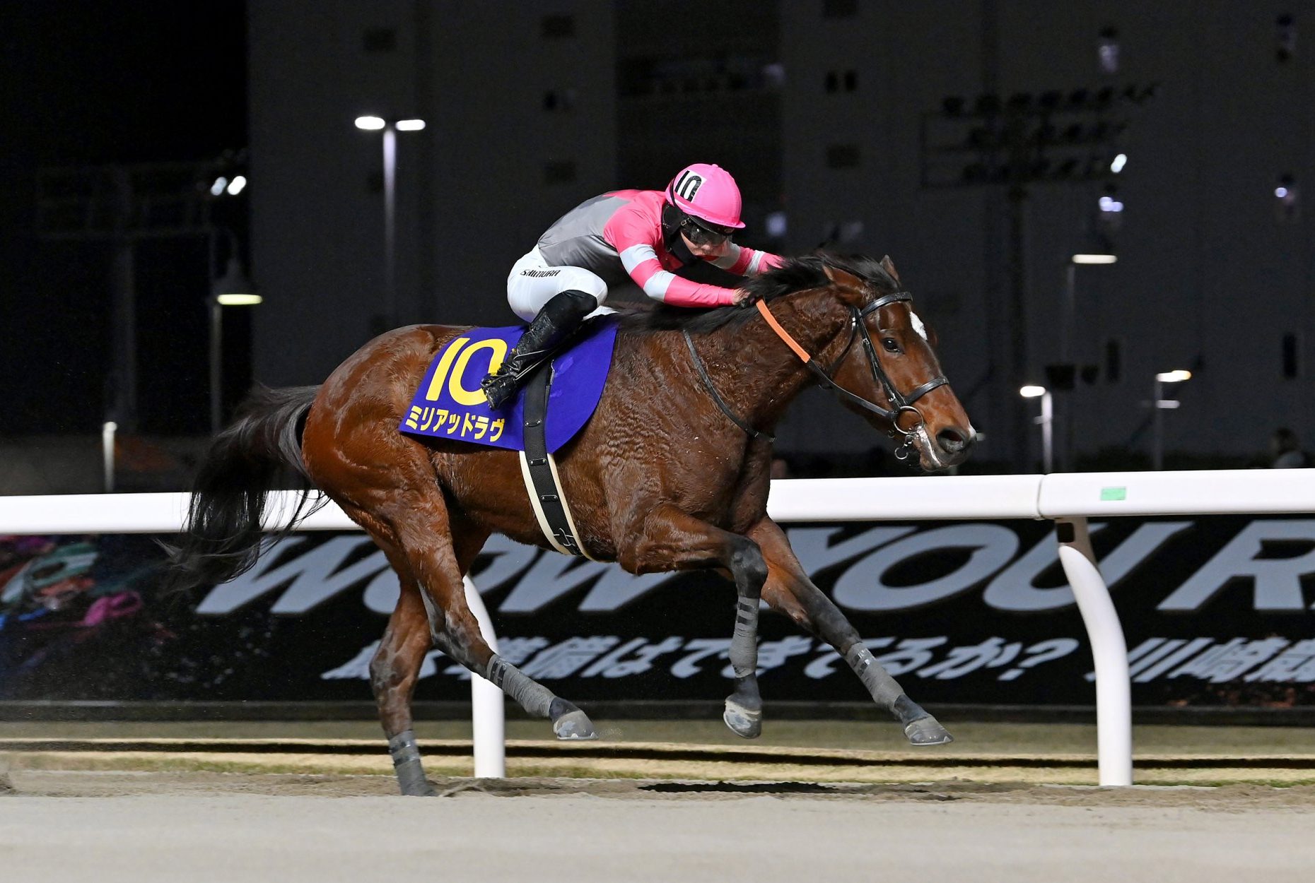ミリアッドラヴの重賞制覇について | 最近の重賞勝馬 | ノーザンファーム