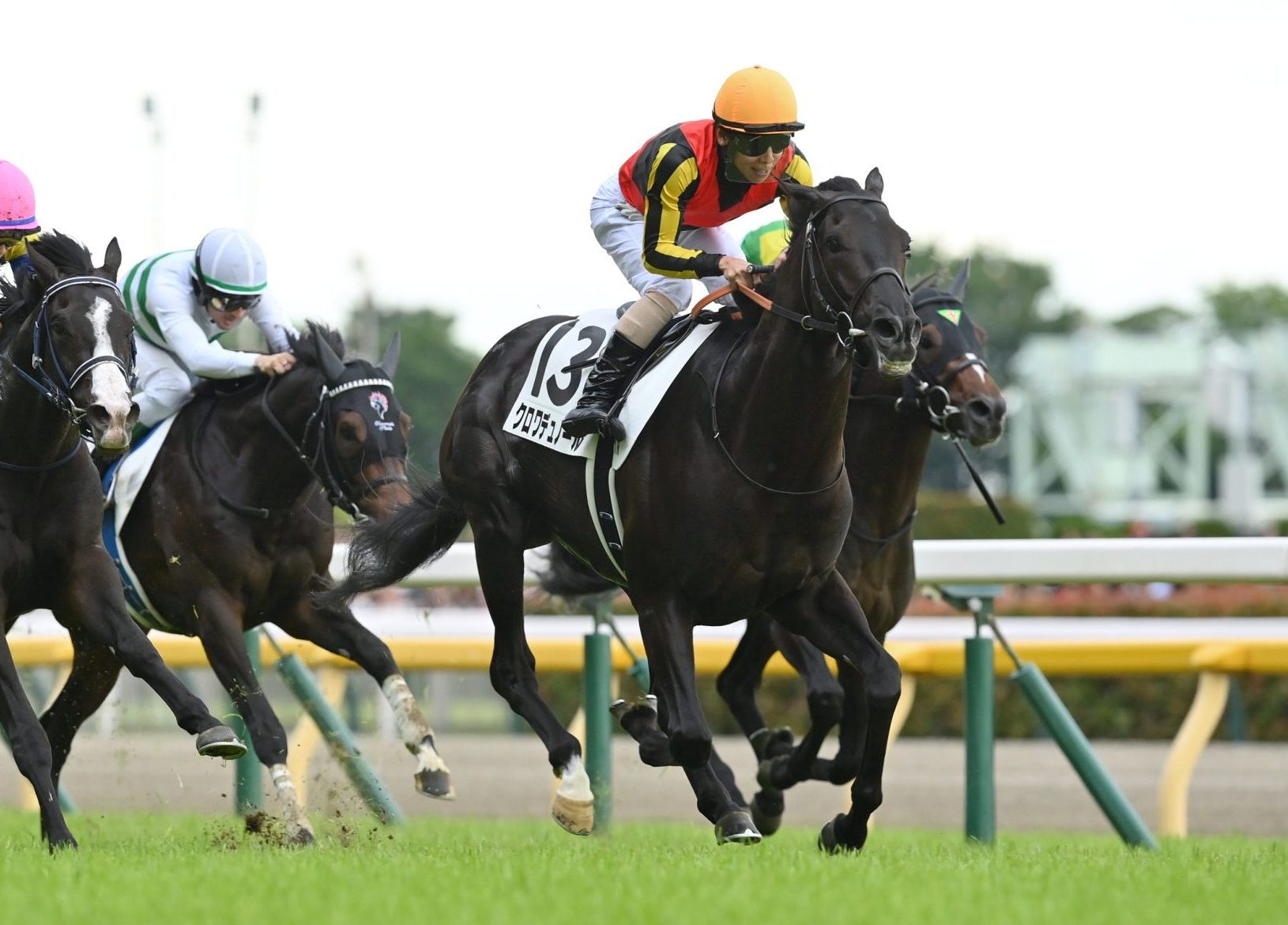 クロワデュノール　【競馬フィギュア】 クロワデュノール - 競馬グッズの通販サイト ノーザンホースパーク