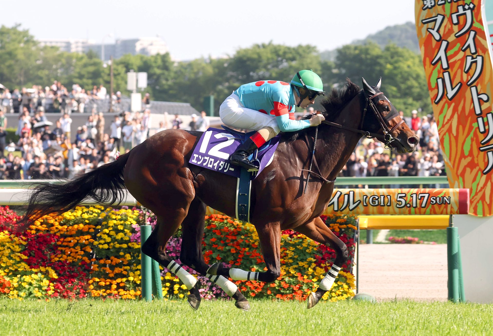 グランディア、エンブロイダリーの重賞制覇について | 最近の重賞勝馬