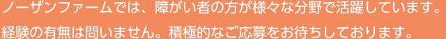 ノーザンファームでは、障がい者の方が様々な分野で活躍しています。経験の有無は問いません。積極的なご応募をお待ちしております。