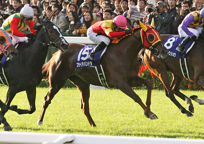歴代のセール出身G1勝馬 2003-2007 | ノーザンファーム