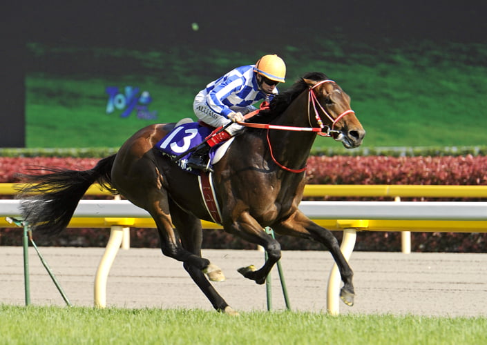 歴代のセール出身G1勝馬 2008-2012 | ノーザンファーム