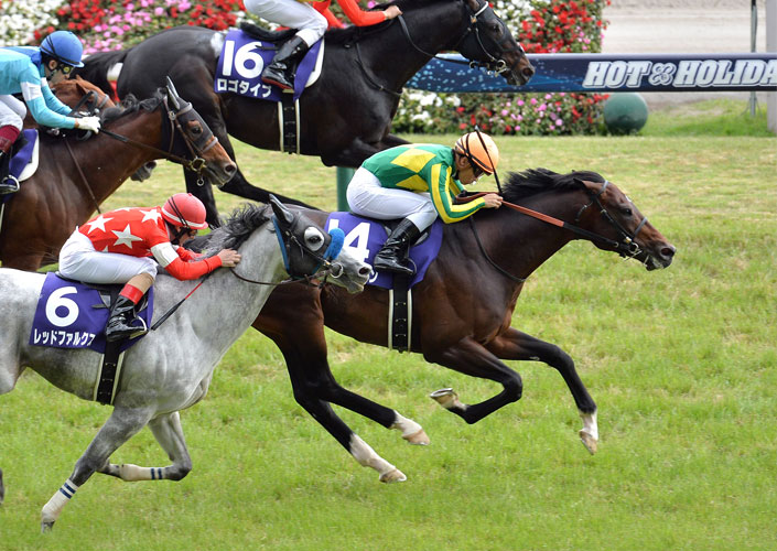 セレクトセール2012 セール結果 - JRHA（一般社団法人 日本競走馬協会）