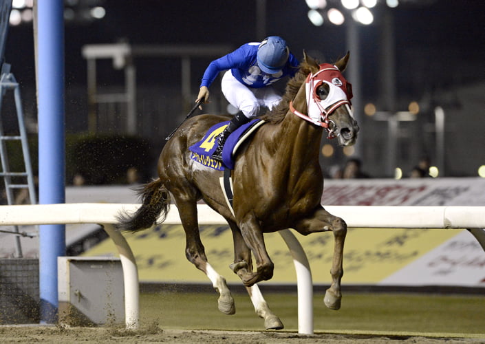 歴代のセール出身G1勝馬 2008-2012 | ノーザンファーム